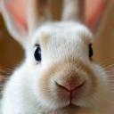 Isabelle R. et son lapin Grizou